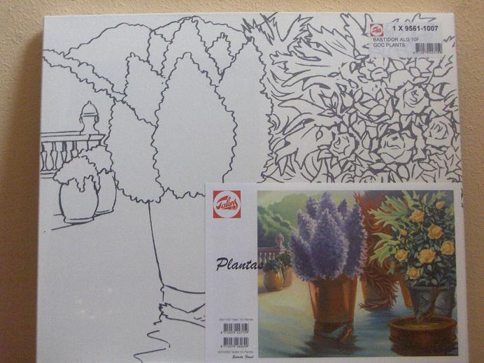 Lienzo - Plantas 46 x 55 cm.