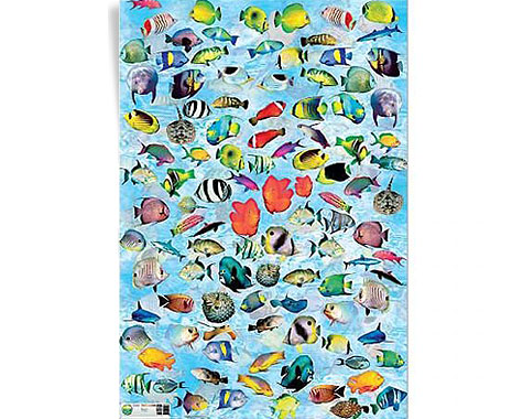 Papel Decoupage - Peces